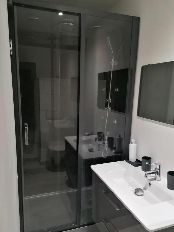 Petit Nid Douillet Apartment Reventin-Vaugris ภายนอก รูปภาพ
