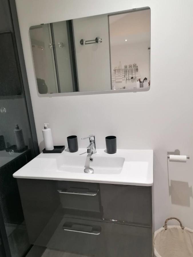 Petit Nid Douillet Apartment Reventin-Vaugris ภายนอก รูปภาพ