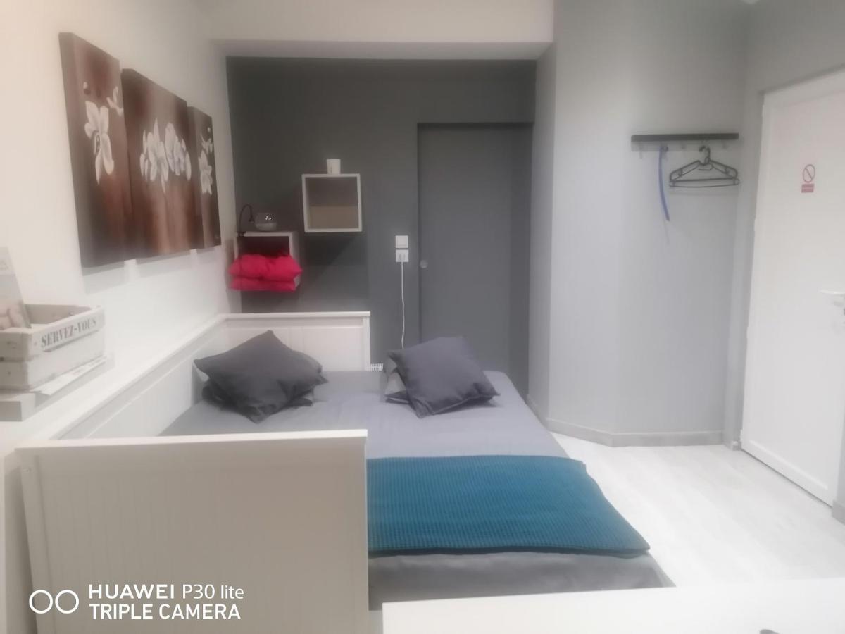 Petit Nid Douillet Apartment Reventin-Vaugris ภายนอก รูปภาพ